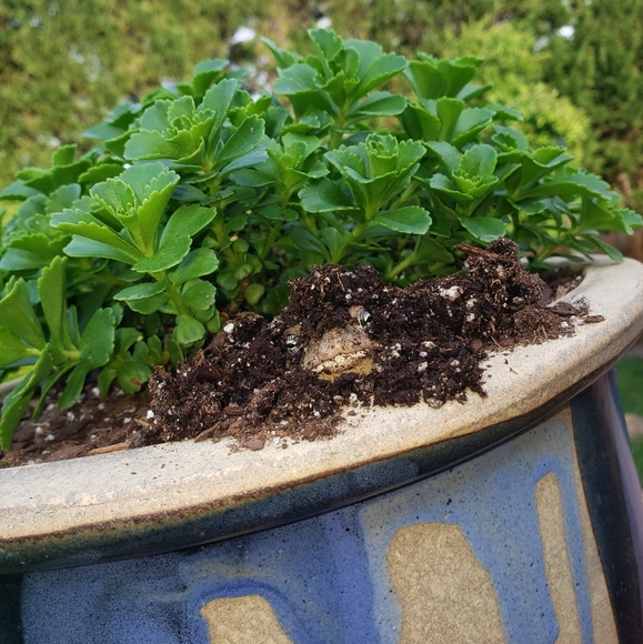 Meet your Posher - Picture 3 of 8